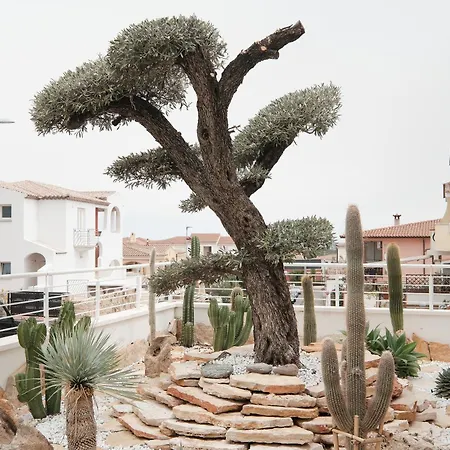 Casa Ulivo *